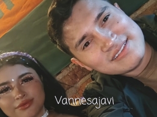 Vannesajavi