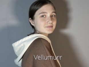 Vellumurr