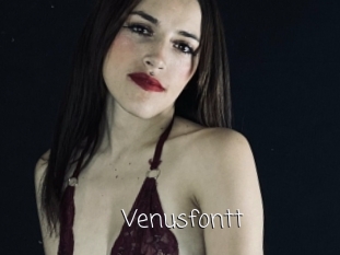 Venusfontt
