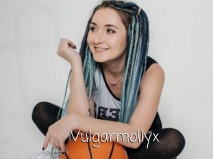 Vulgarmollyx