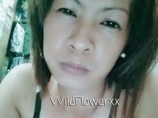 WildFlowerxx