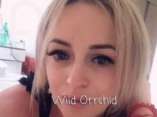 Wild_Orrchid