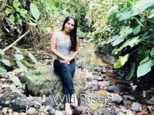 Wild_Rose18