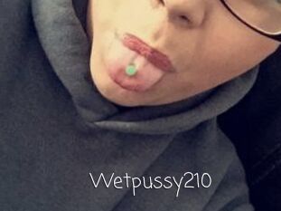 Wetpussy210