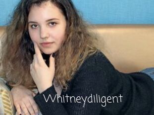 Whitneydiligent