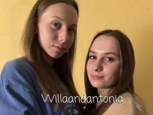 Willaandantonia