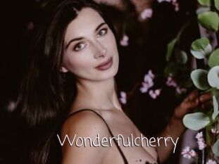 Wonderfulcherry