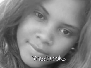 Ynesbrooks