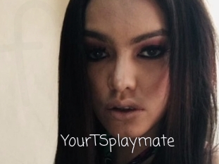 YourTSplaymate